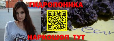 спиды Дубна