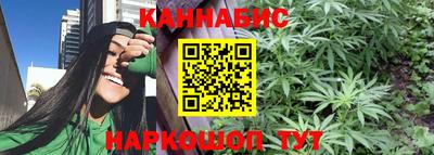 спиды Дубна