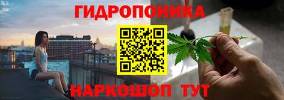 спиды Дубна